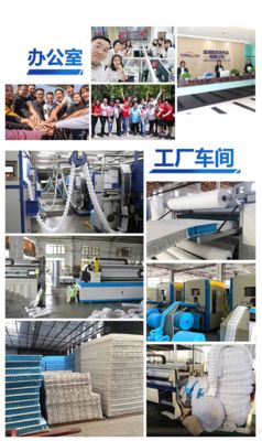 Customized Pocket Spring Coil Queen Size Zone Pocket Spring 