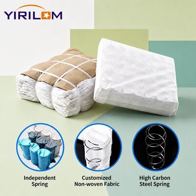 Harga bagus Pegas Gulungan Mikro 1.8mm untuk Sandaran Lengan Sandaran Sofa Bantalan Dukungan Ketahanan Tinggi on line