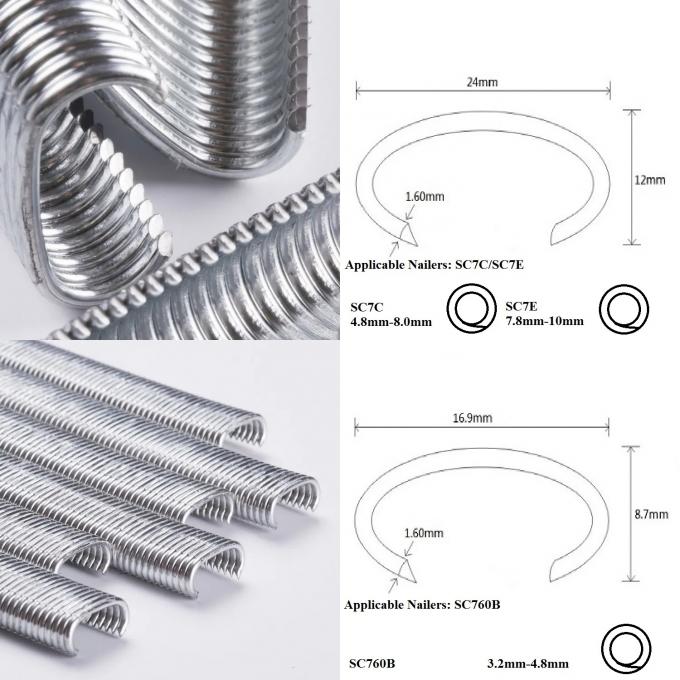 Sampel Gratis Industri C Ring Staples Produsen Galvanized Nails Frame Aksesoris 3